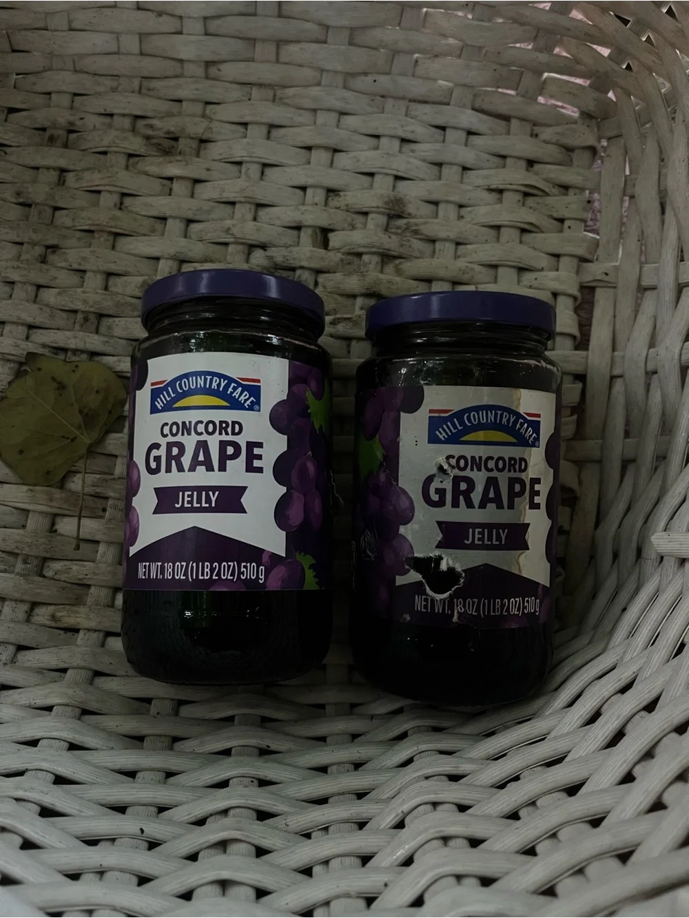 Concord Grape Jelly - Purple